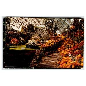 Vintage ORCHIDLAND Winter Haven Florida Conservatory Mums Postcard 1960s